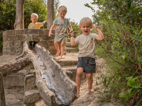 Vakantiepark Witterzomer - Camping Assen - Image N°66