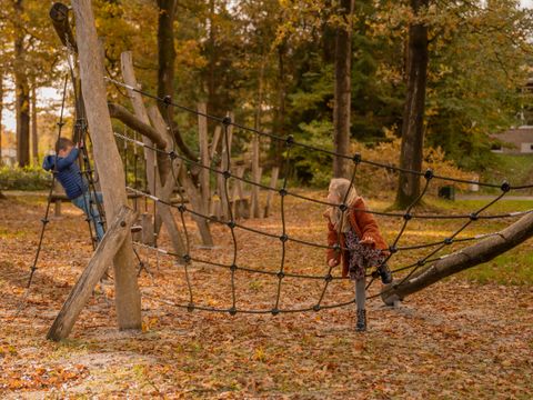 Vakantiepark Witterzomer - Camping Assen - Image N°3