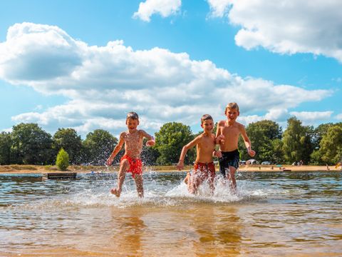Vakantiepark Witterzomer - Camping Assen