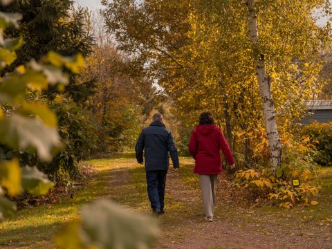 Vakantiepark Witterzomer - Camping Assen