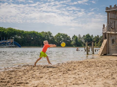 Vakantiepark Witterzomer - Camping Assen
