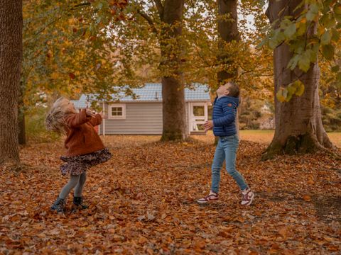 Vakantiepark Witterzomer - Camping Assen