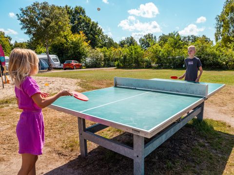 Vakantiepark Witterzomer - Camping Assen - Image N°54