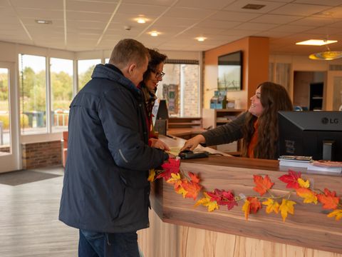 Vakantiepark Witterzomer - Camping Assen - Image N°4