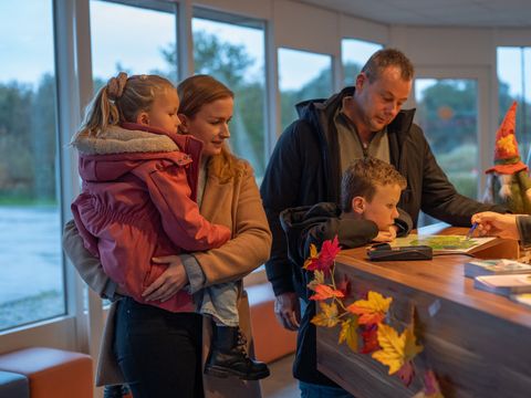 Vakantiepark Witterzomer - Camping Assen - Image N°10