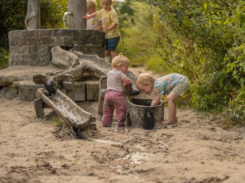 Vakantiepark Witterzomer - Camping Assen - Image N°44