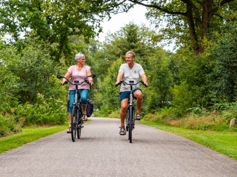 Vakantiepark Witterzomer - Camping Assen