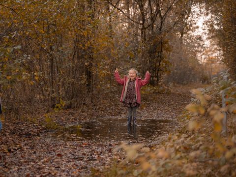 Vakantiepark Witterzomer - Camping Assen