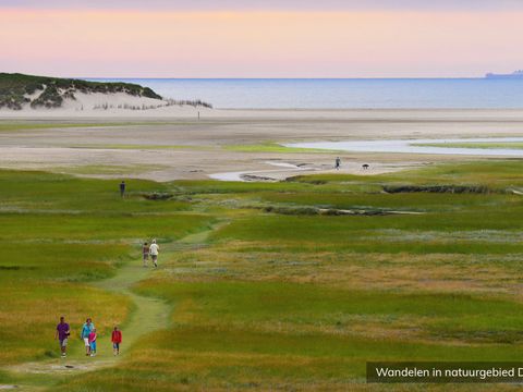 Vakantiepark De Krim Texel - Camping Texel - Image N°32