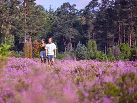 Center Parcs Bispinger Heide - Camping Basse-saxe