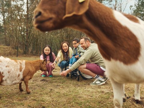 Center Parcs Bispinger Heide - Camping Basse-saxe - Image N°45