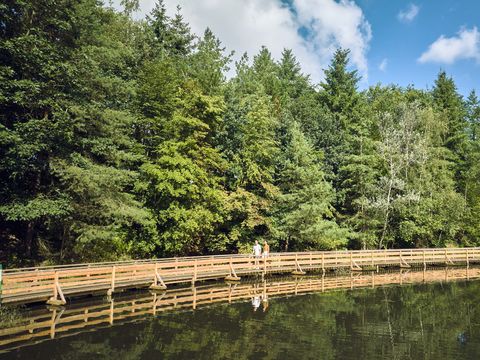 Center Parcs Bispinger Heide - Camping Basse-saxe - Image N°4