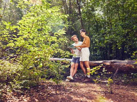 Center Parcs Bispinger Heide - Camping Basse-saxe