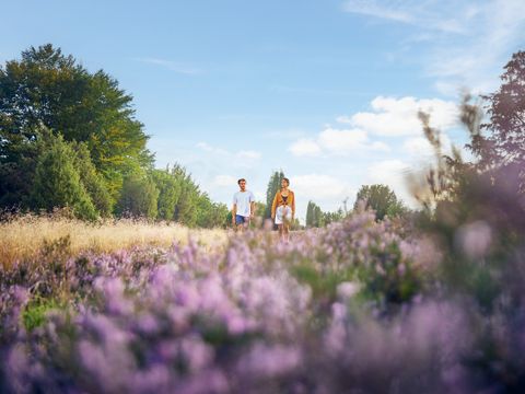 Center Parcs Bispinger Heide - Camping Basse-saxe