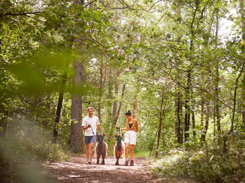 Center Parcs Bispinger Heide - Camping Basse-saxe