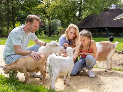 Center Parcs Het Heijderbos - Camping Gennep