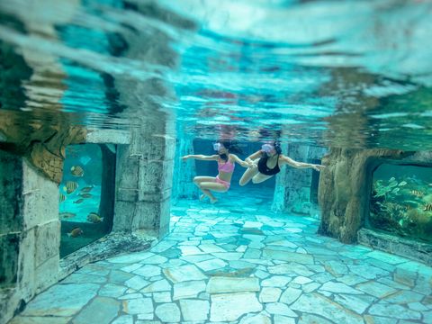 Center Parcs Het Heijderbos - Camping Gennep - Image N°2