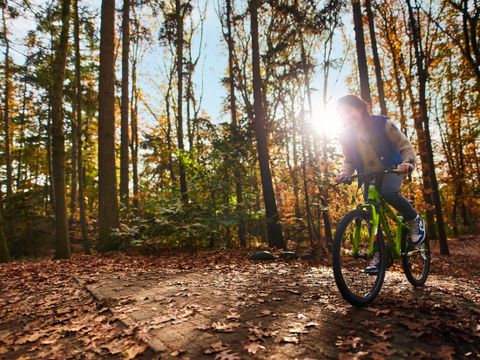 Center Parcs Het Heijderbos - Camping Gennep - Image N°39