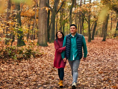 Center Parcs Het Heijderbos - Camping Gennep - Image N°43