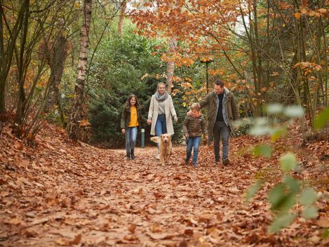 Center Parcs Het Heijderbos - Camping Gennep - Image N°24