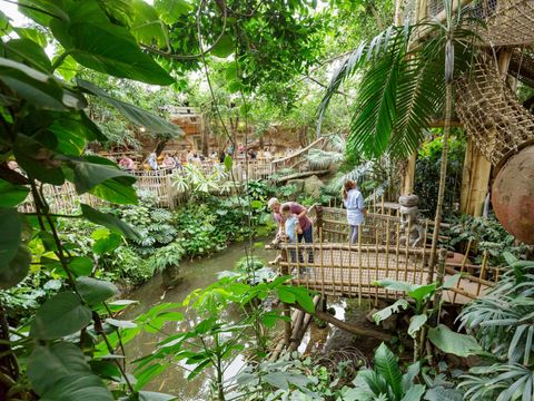 Center Parcs Het Heijderbos - Camping Gennep - Image N°3