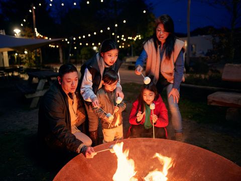 Center Parcs Het Heijderbos - Camping Gennep - Image N°2