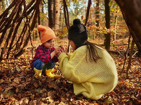 Center Parcs Het Heijderbos - Camping Gennep