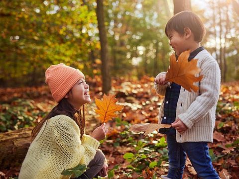 Center Parcs Het Heijderbos - Camping Gennep