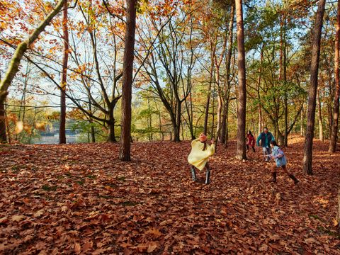 Center Parcs Het Heijderbos - Camping Gennep - Image N°35