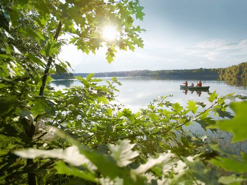 Center Parcs De Kempervennen - Camping Bergeijk - Image N°26