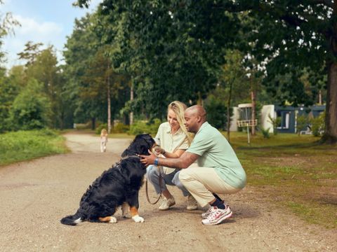 Center Parcs De Kempervennen - Camping Bergeijk - Image N°59