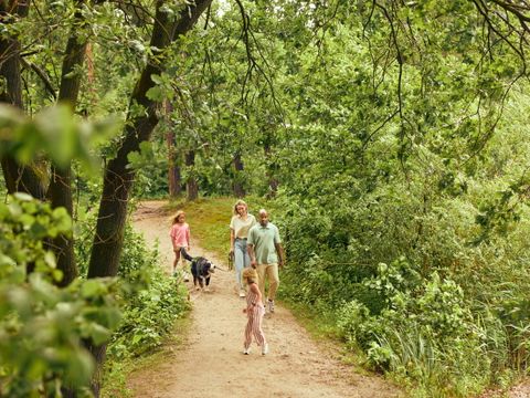 Center Parcs De Kempervennen - Camping Bergeijk - Image N°52