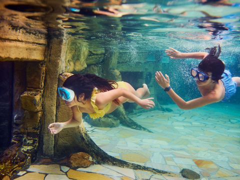 Center Parcs De Kempervennen - Camping Bergeijk