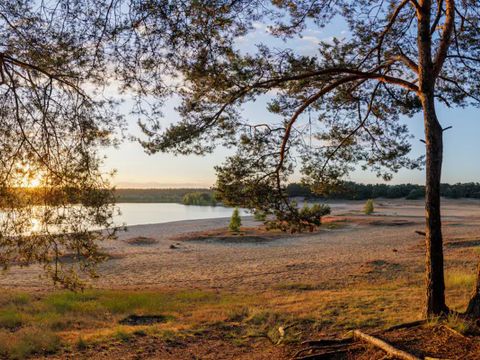 Center Parcs De Vossemeren - Camping Limburg Belge - Image N°37