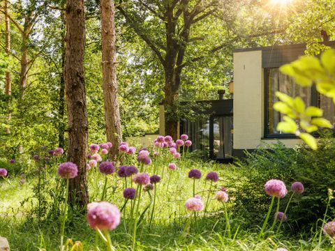 Center Parcs De Vossemeren - Camping Limburg Belge - Image N°35