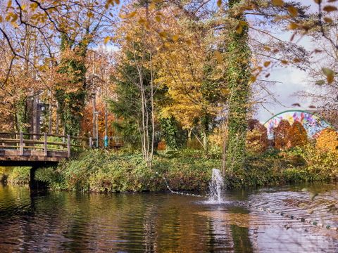 Center Parcs Park Erperheide - Camping Limburg Belge - Image N°47