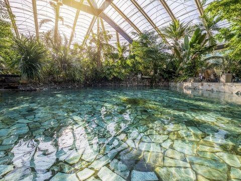 Center Parcs Park Erperheide - Camping Limburg Belge