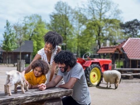 Center Parcs Park Erperheide - Camping Limburg Belge - Image N°36