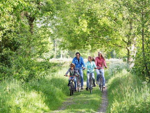 Center Parcs Park Erperheide - Camping Limburg Belge