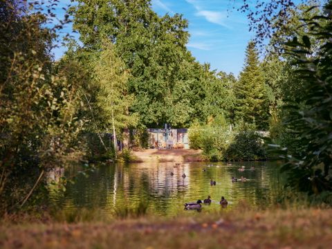 Center Parcs Park Erperheide - Camping Limburg Belge