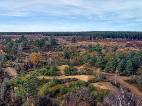 Center Parcs Park Erperheide - Camping Limburg Belge - Image N°3
