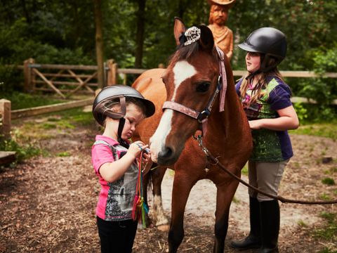 Center Parcs Park Erperheide - Camping Limburg Belge - Image N°23