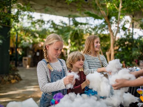 Center Parcs Park Erperheide - Camping Limburg Belge - Image N°14
