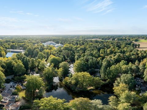 Center Parcs Park Erperheide - Camping Limburg Belge - Image N°49