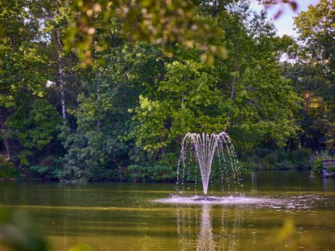 Center Parcs Park Erperheide - Camping Limburg Belge - Image N°46