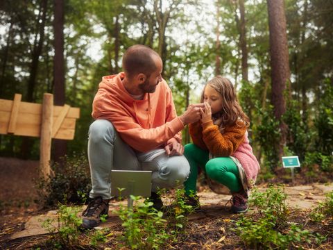 Center Parcs Park Erperheide - Camping Limburg Belge