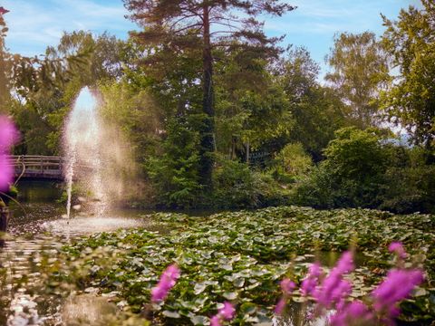 Center Parcs Park Erperheide - Camping Limburg Belge - Image N°45