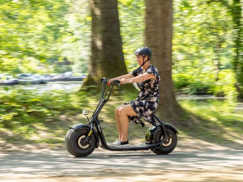 Center Parcs Park Erperheide - Camping Limburg Belge