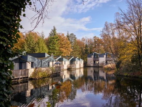 Center Parcs Park Erperheide - Camping Limburg Belge - Image N°15
