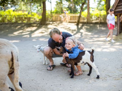 Center Parcs Park Erperheide - Camping Limburg Belge - Image N°30